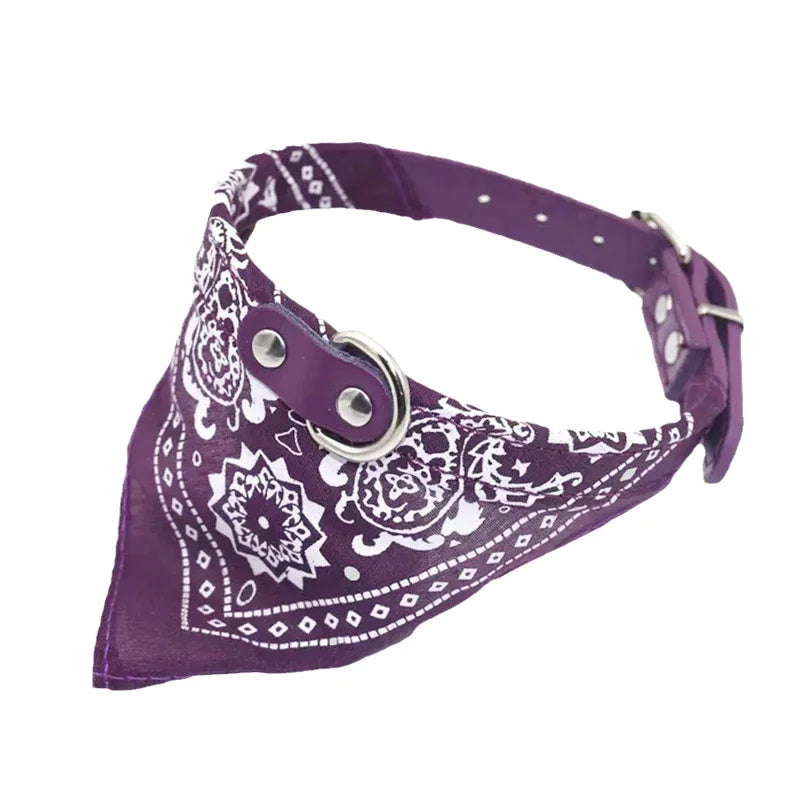 Collare con Bandana per Cani e Gatti – Eleganza e Comfort per il tuo Amico a Quattro Zampe 🐾
