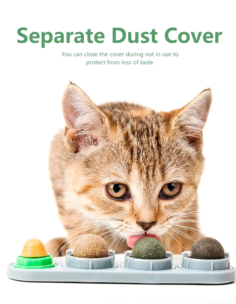 🌿 Silvervine & Catnip Dental Balls – Gioco e Salute per Gatti Felici! 😻