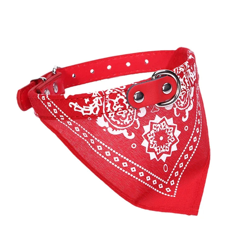 Collare con Bandana per Cani e Gatti – Eleganza e Comfort per il tuo Amico a Quattro Zampe 🐾