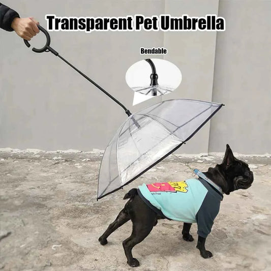 Ombrello Trasparente per Cani con Guinzaglio Regolabile