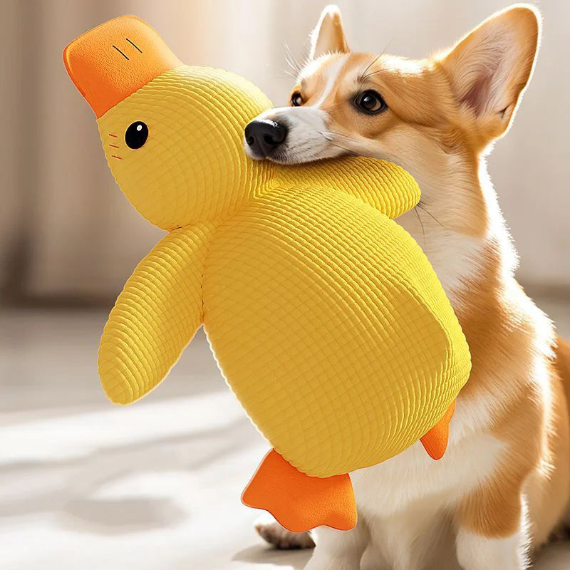 Duck Buddy – L’Anatra Peluche che Fa Sorridere il Tuo Cane!