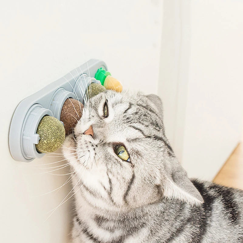 🌿 Silvervine & Catnip Dental Balls – Gioco e Salute per Gatti Felici! 😻