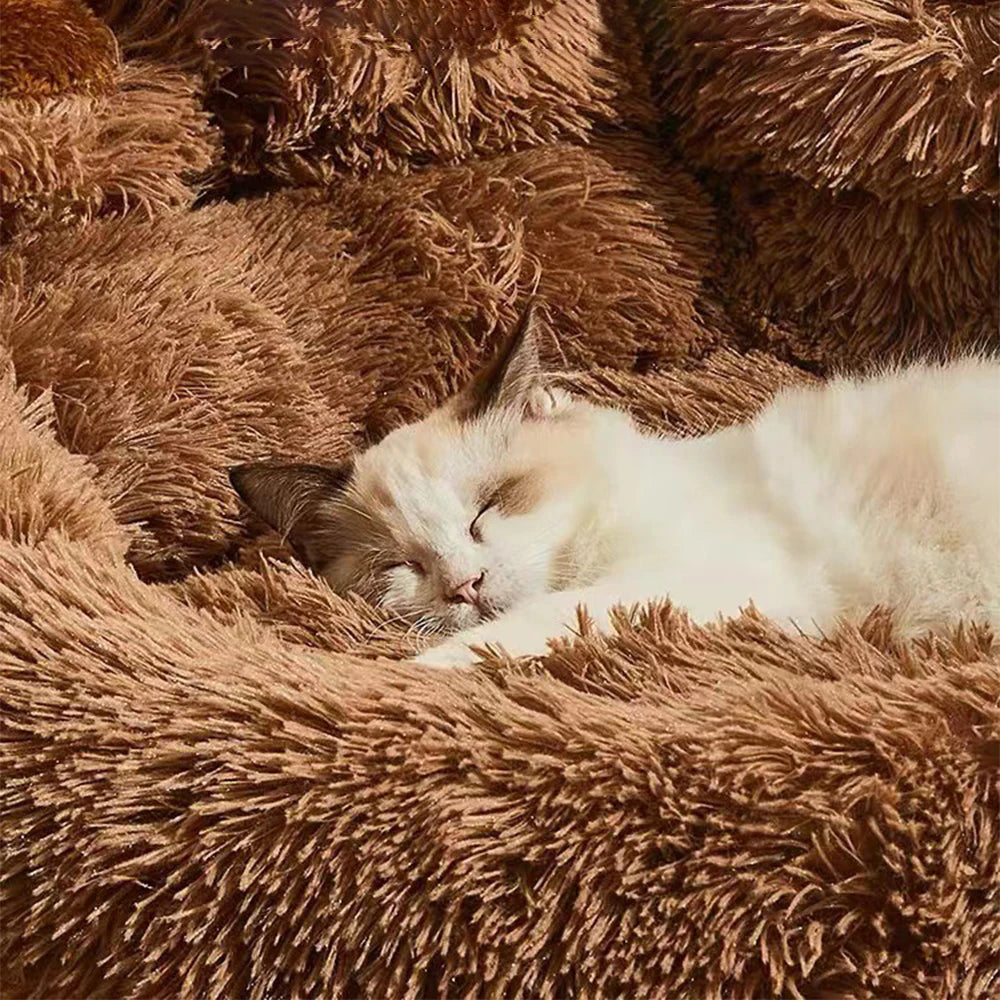 "Sofa Bed Morbido per Cani e Gatti – Letto in Peluche Lavabile, Caldo e Accogliente"