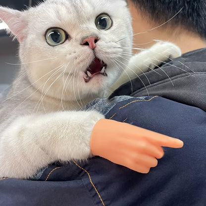 Mini Mani Finte per Gatti – Set Gioco Interattivo e Divertente per Coccole e Dispetti!