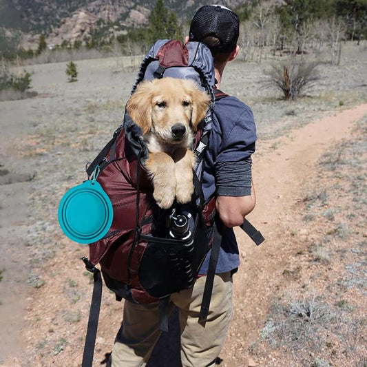 Foldabowl – Set da 2 Ciotole Pieghevoli, Perfette per il Viaggio