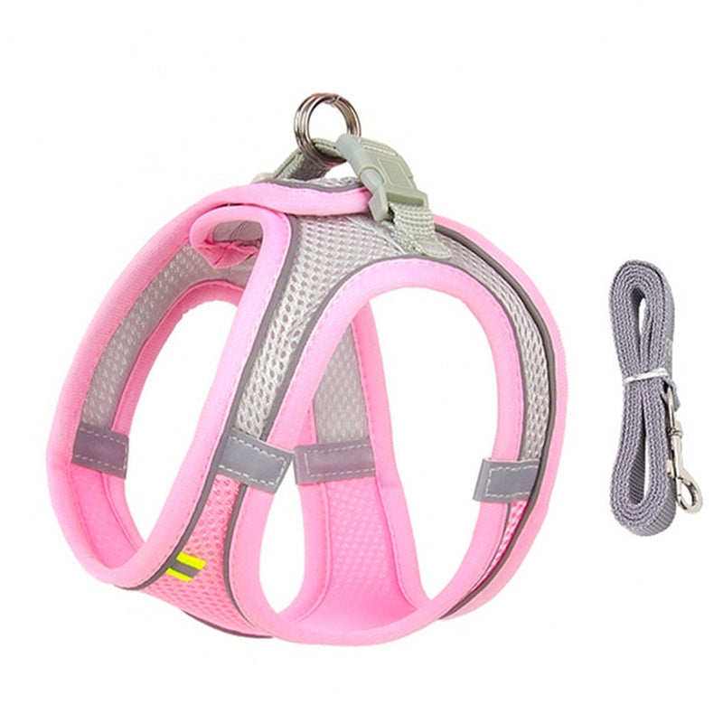 🐾 "Passeggiata da Star – Set Pettorina & Guinzaglio per Cagnolini Stilosi!"