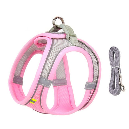 🐾 "Passeggiata da Star – Set Pettorina & Guinzaglio per Cagnolini Stilosi!"