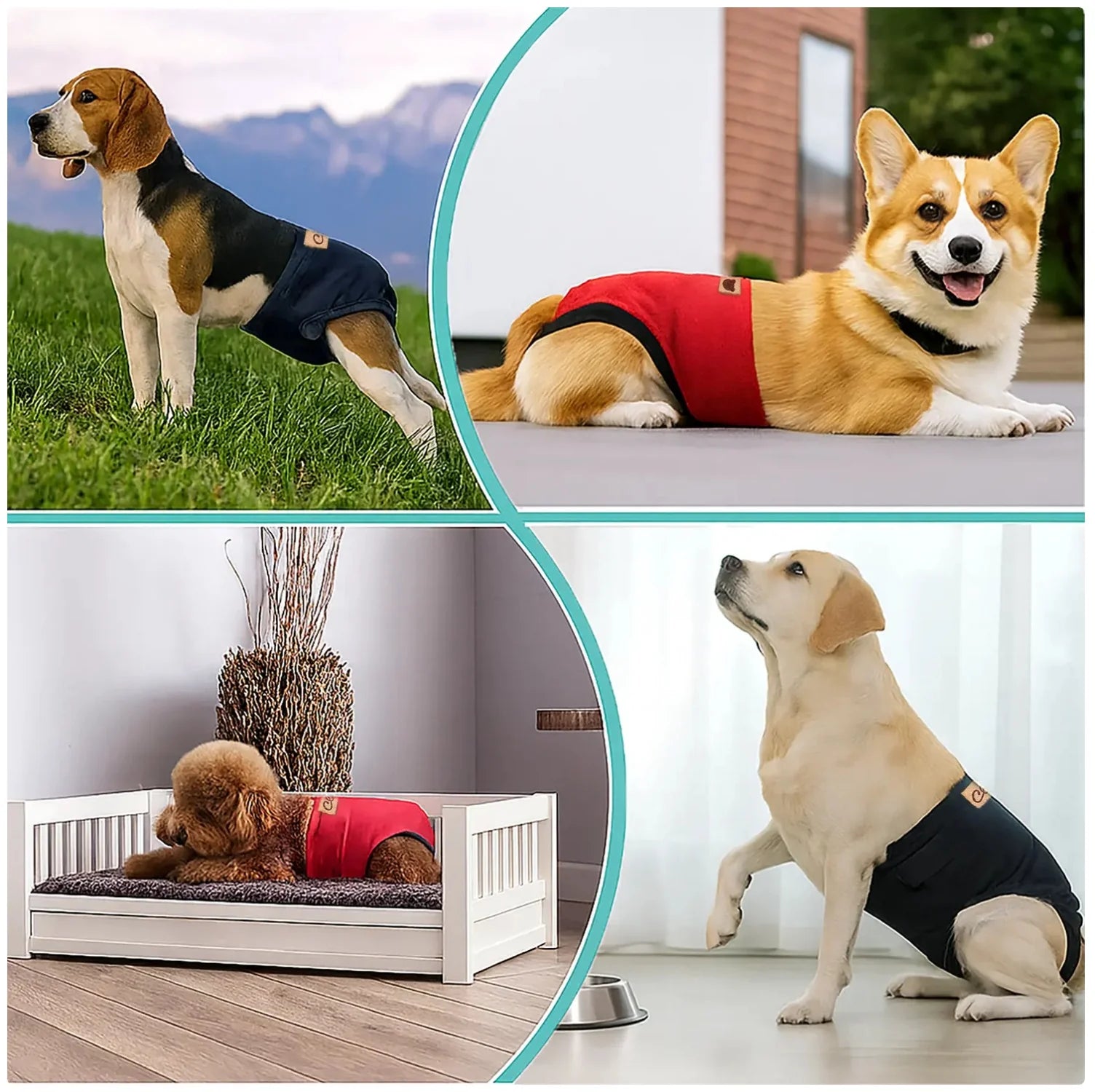 Protezione Totale per Cani – Pannolino Regolabile, Lavabile e Antifuga