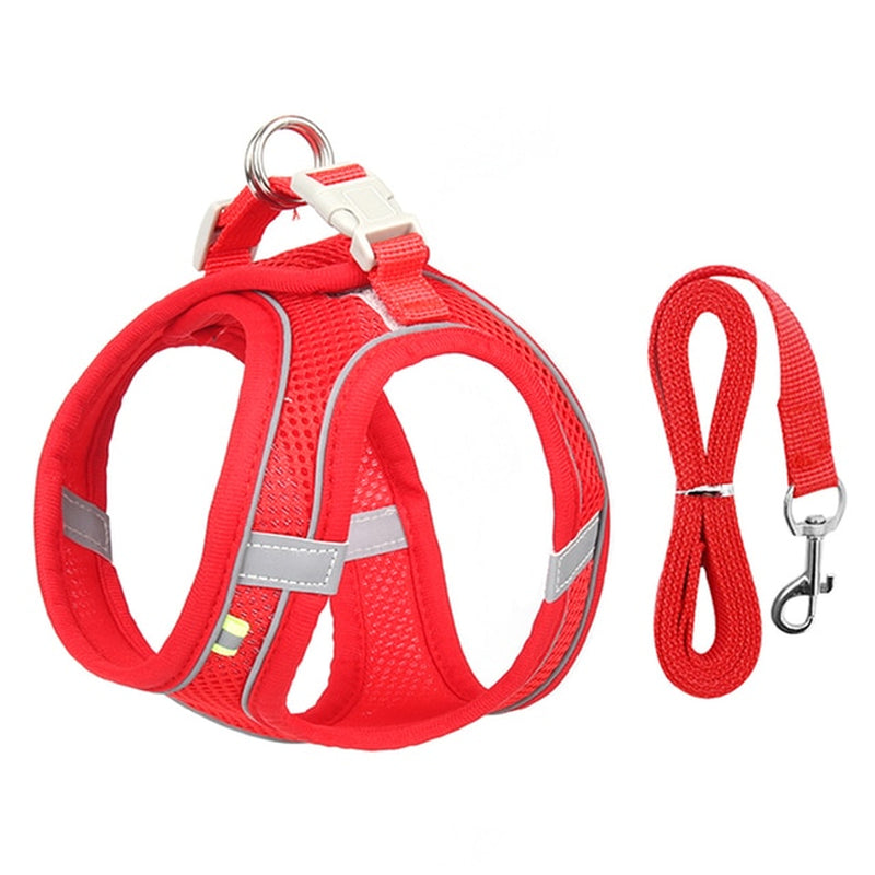 🐾 "Passeggiata da Star – Set Pettorina & Guinzaglio per Cagnolini Stilosi!"
