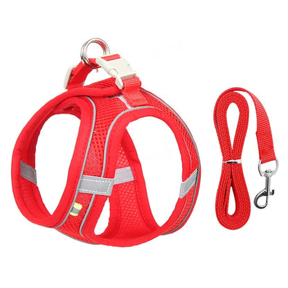 🐾 "Passeggiata da Star – Set Pettorina & Guinzaglio per Cagnolini Stilosi!"