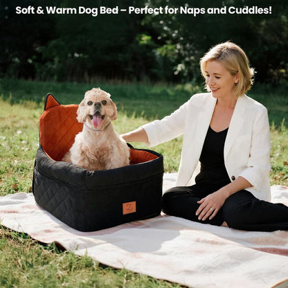 "Seggiolino Auto per Cani con Memory Foam 🐾 Comfort & Sicurezza in Viaggio"