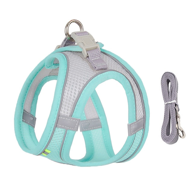 🐾 "Passeggiata da Star – Set Pettorina & Guinzaglio per Cagnolini Stilosi!"