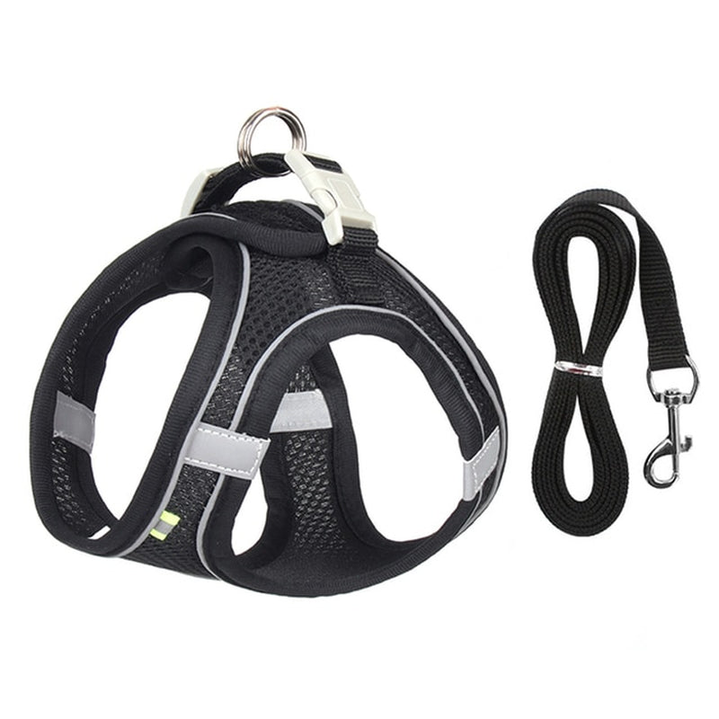 🐾 "Passeggiata da Star – Set Pettorina & Guinzaglio per Cagnolini Stilosi!"