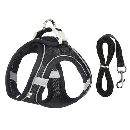 🐾 "Passeggiata da Star – Set Pettorina & Guinzaglio per Cagnolini Stilosi!"