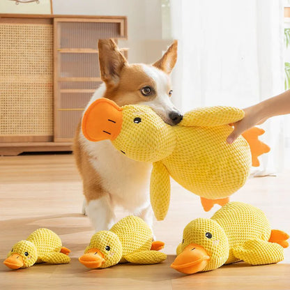 Duck Buddy – L’Anatra Peluche che Fa Sorridere il Tuo Cane!
