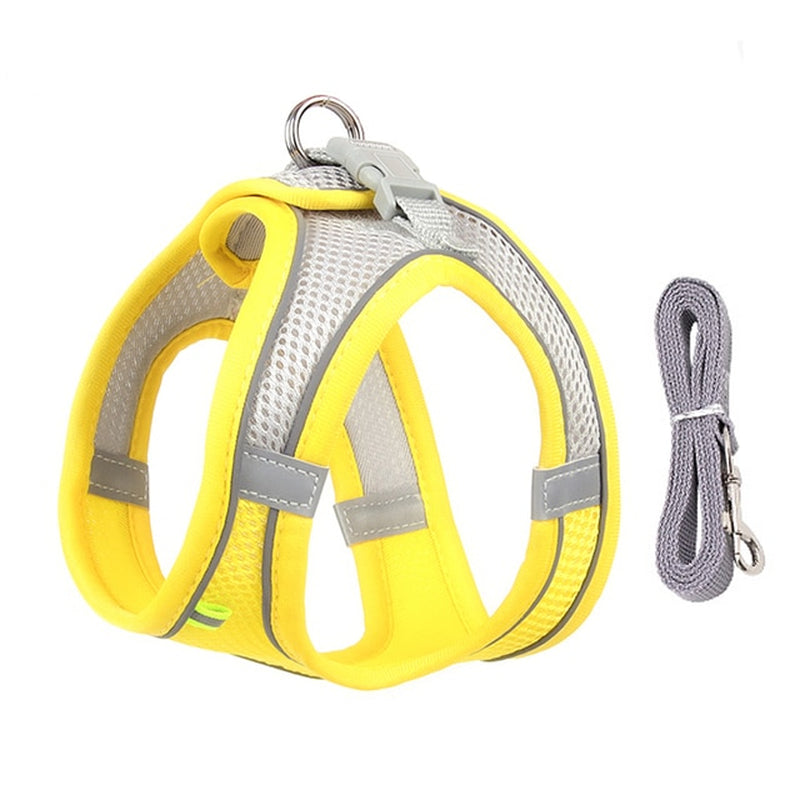 🐾 "Passeggiata da Star – Set Pettorina & Guinzaglio per Cagnolini Stilosi!"