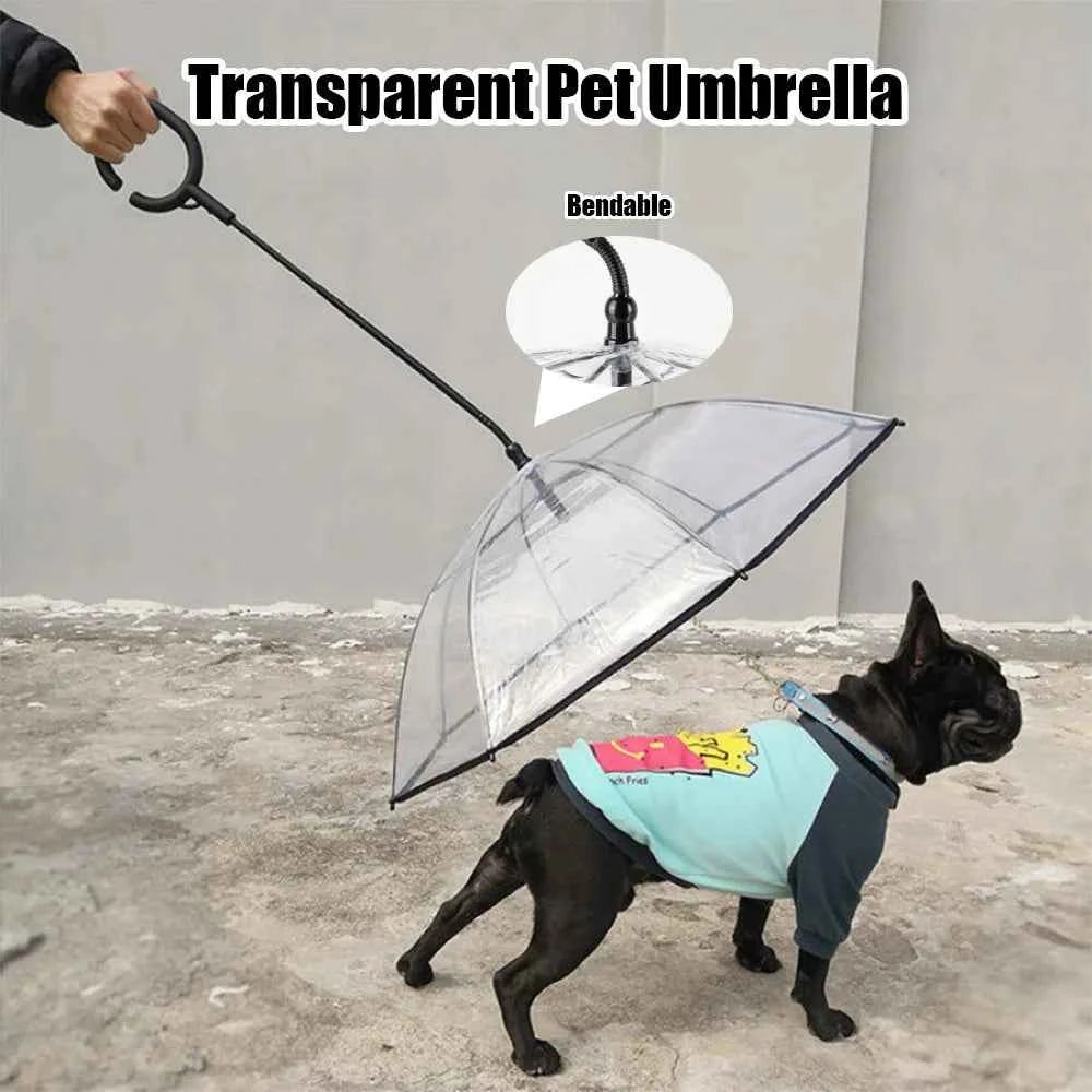 Ombrello Trasparente per Cani con Guinzaglio Regolabile