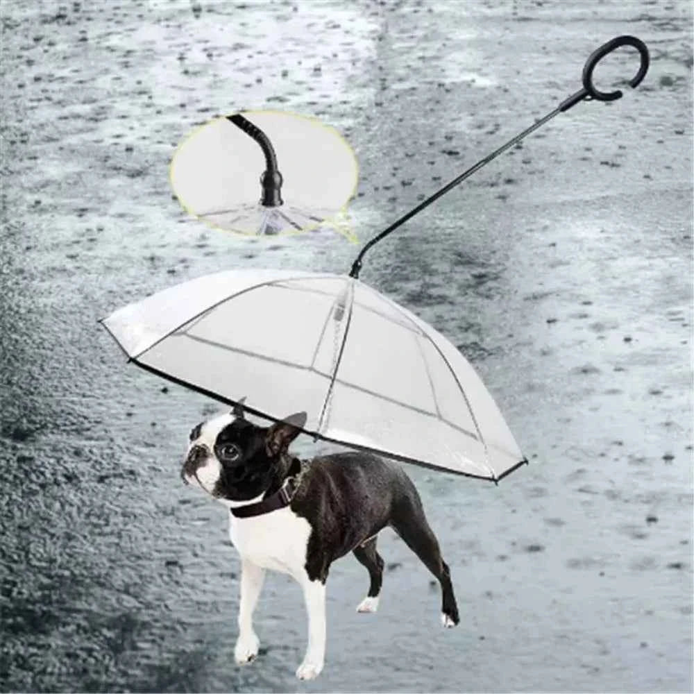 Ombrello Trasparente per Cani con Guinzaglio Regolabile