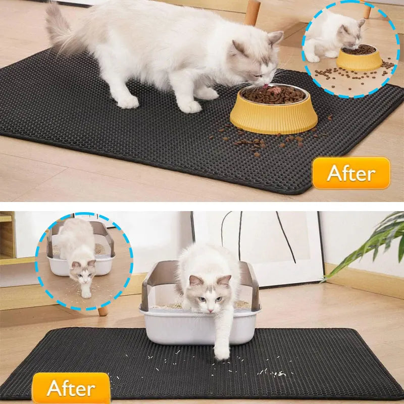 Miao-magic! Il tappetino che cattura tutto 🪄🐱”