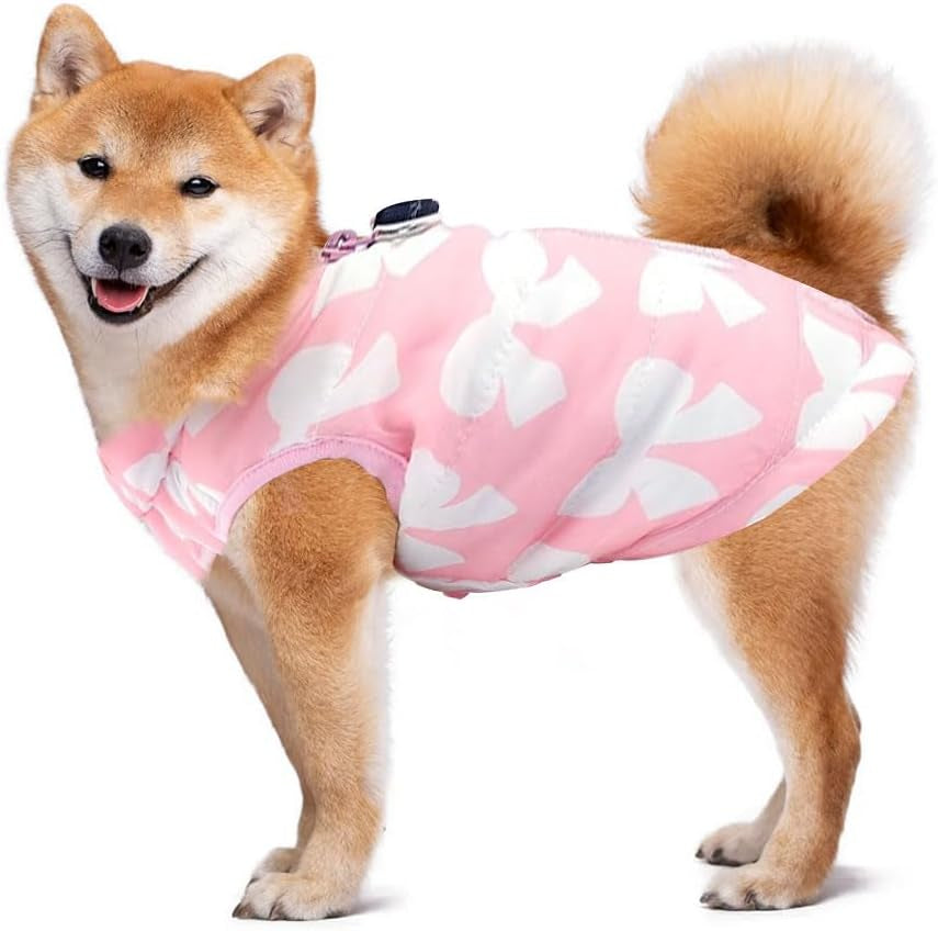 Voarge Giacca Invernale Calda per Cani Di Piccola Taglia Con Cerniera, Colore Rosa, XS