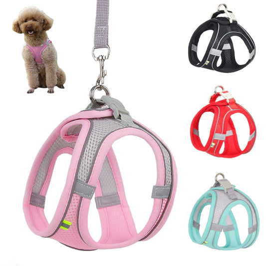 🐾 "Passeggiata da Star – Set Pettorina & Guinzaglio per Cagnolini Stilosi!"