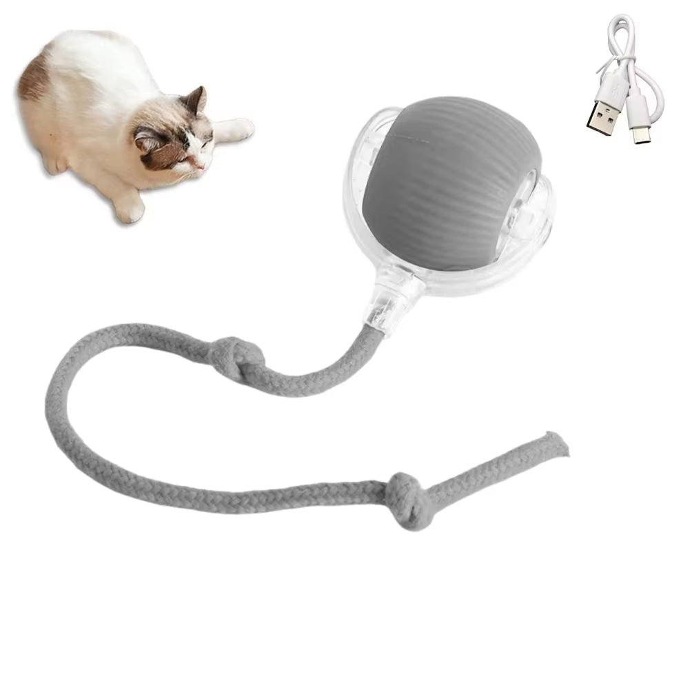 Cat Interactive Ball Toy con Coda Finta – Gioco Automatico e Intelligente per Cani e Gatti 🐾 - bau boutique
