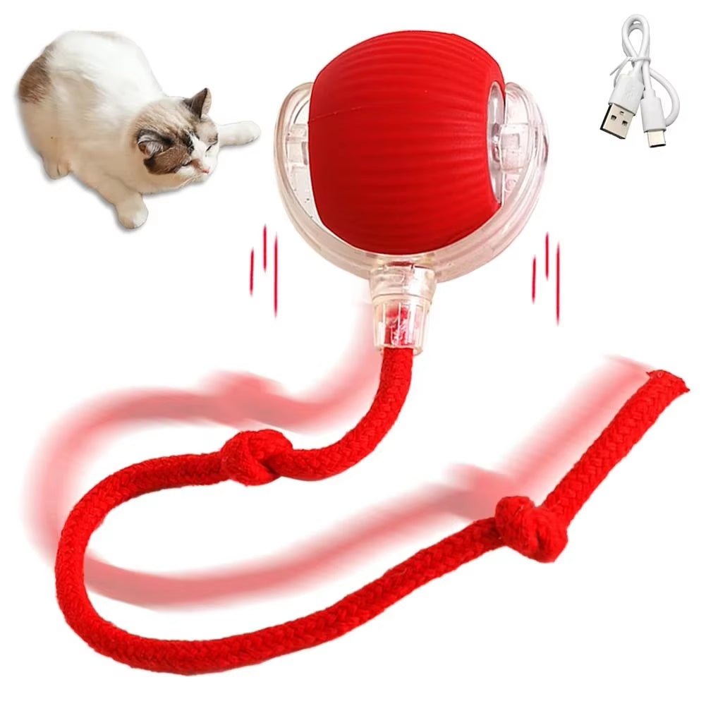 Cat Interactive Ball Toy con Coda Finta – Gioco Automatico e Intelligente per Cani e Gatti 🐾 - bau boutique