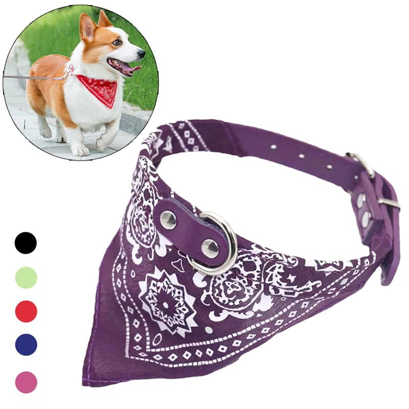 Collare con Bandana per Cani e Gatti – Eleganza e Comfort per il tuo Amico a Quattro Zampe 🐾 - bau boutique