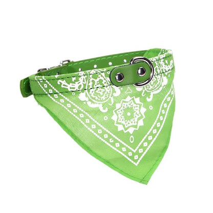 Collare con Bandana per Cani e Gatti – Eleganza e Comfort per il tuo Amico a Quattro Zampe 🐾 - bau boutique
