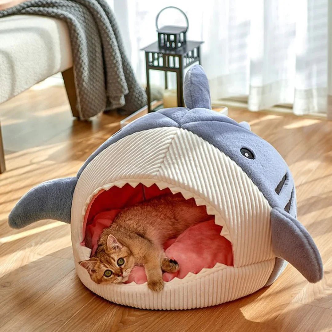 Cuccia a Tema Squalo – Letto per Animali Domestici Soffice e Accattivante - bau boutique
