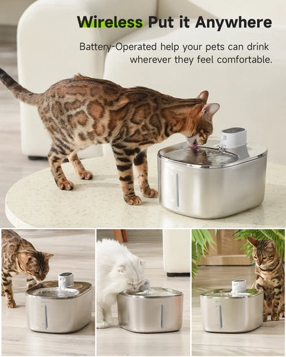Fontana Elettrica Smart 4L per Gatti e Cani – Dispenser d’Acqua con Sensore, Silenziosa e Sicura