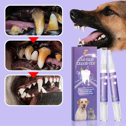 "Bocca Felice 🐶 – Gel Riparatore e Pulente per Denti di Cani e Gatti"