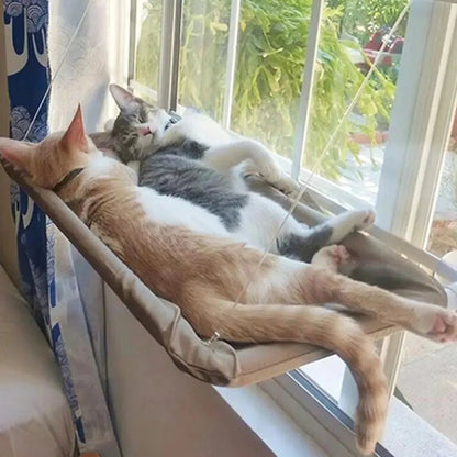 Finestra con Vista! Amaca Sospesa per Gatti Curiosi 🪟🐱 - bau boutique
