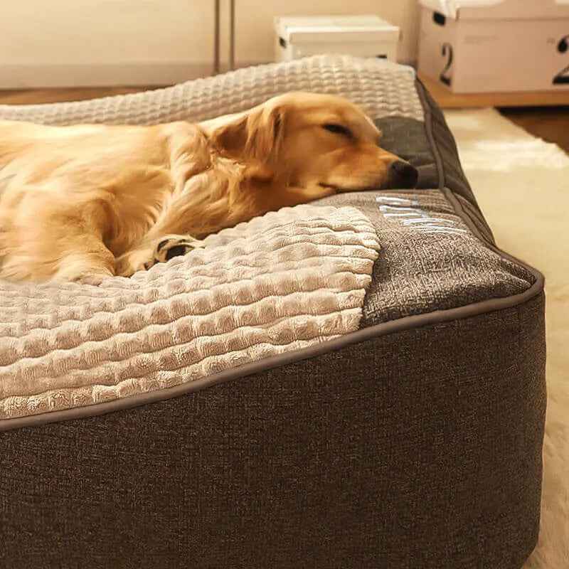 Letto Anatomico per Cani – Morbidezza, Spazio e Supporto Ortopedico! 💤💖 - bau boutique