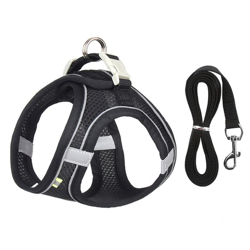🐾 "Passeggiata da Star – Set Pettorina & Guinzaglio per Cagnolini Stilosi!" - bau boutique