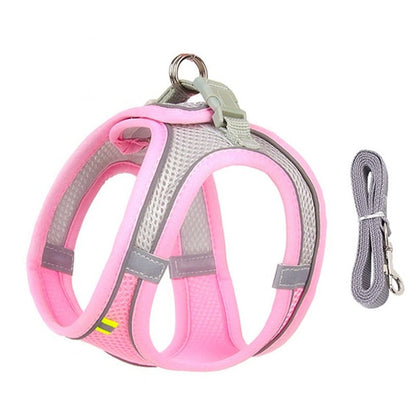 🐾 "Passeggiata da Star – Set Pettorina & Guinzaglio per Cagnolini Stilosi!" - bau boutique