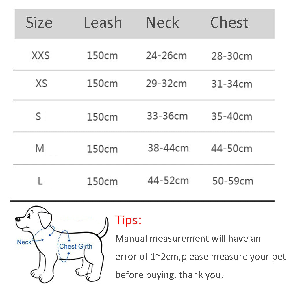 🐾 "Passeggiata da Star – Set Pettorina & Guinzaglio per Cagnolini Stilosi!" - bau boutique