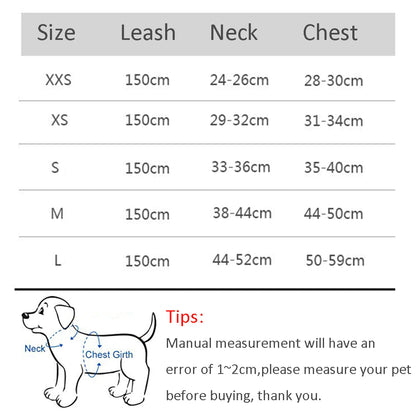 🐾 "Passeggiata da Star – Set Pettorina & Guinzaglio per Cagnolini Stilosi!" - bau boutique