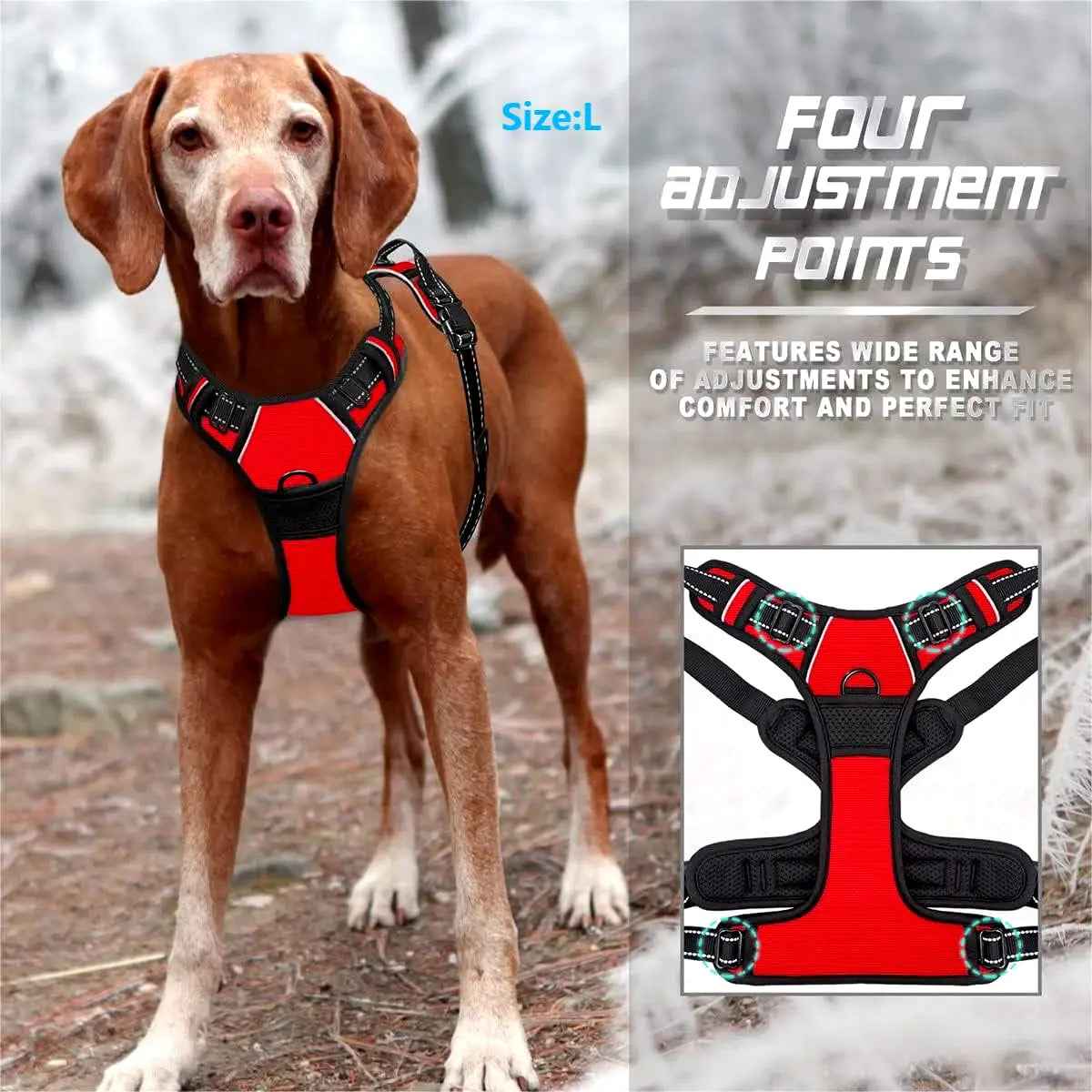 Pettorina Anti-Tiro Heavy Duty per Cani Grandi – Controllo e Comfort Totale! 🐕💪 - bau boutique