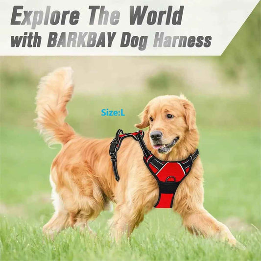 Pettorina Anti-Tiro Heavy Duty per Cani Grandi – Controllo e Comfort Totale! 🐕💪 - bau boutique
