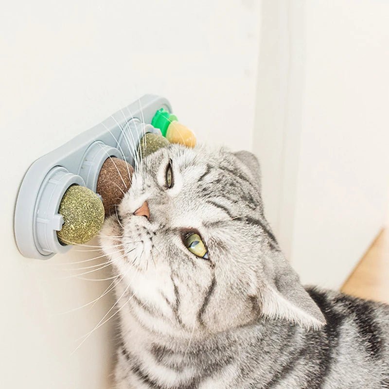 🌿 Silvervine & Catnip Dental Balls – Gioco e Salute per Gatti Felici! 😻 - bau boutique