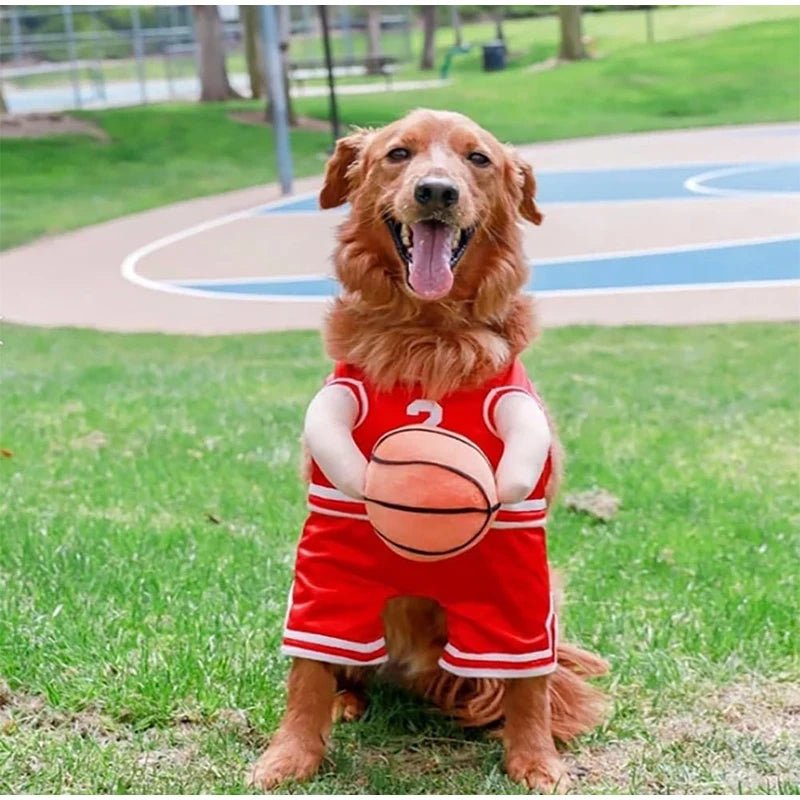 🏀🐶 "Slam Pup!" – Il Costume da Basket per Cani Campioni di Stile! - bau boutique
