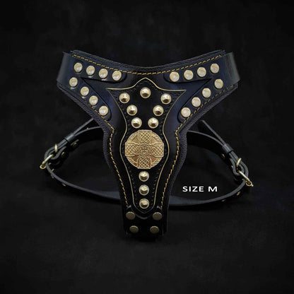 The "Maximus" harness V2